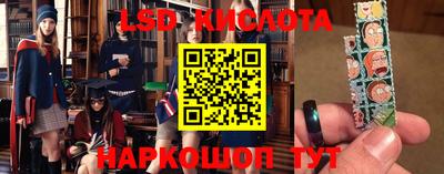 стафф Кандалакша