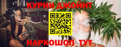стафф Кандалакша