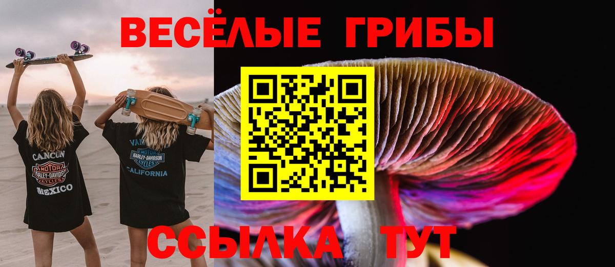 Галлюциногенные грибы ЛСД Черногорск